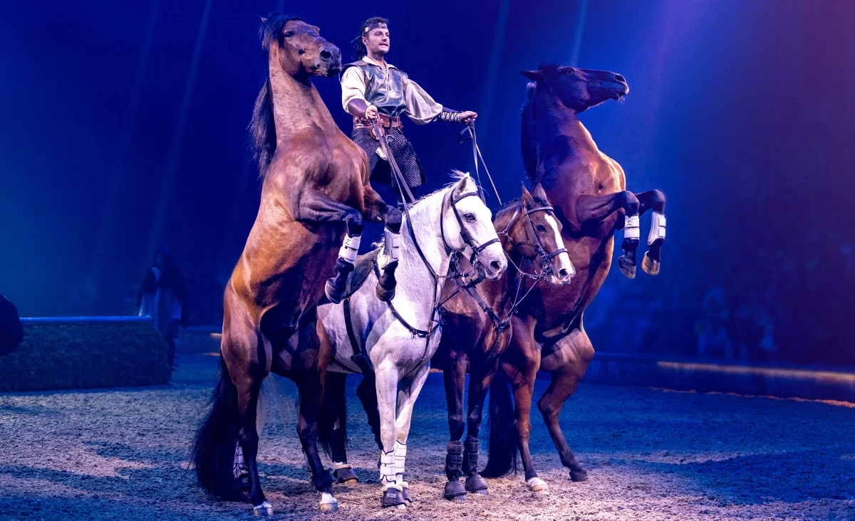 Ein Mann reitet auf einem Pferd in einer Arena während der CAVALLUNA-Show in Berlin, umgeben von bunten Lichtern.