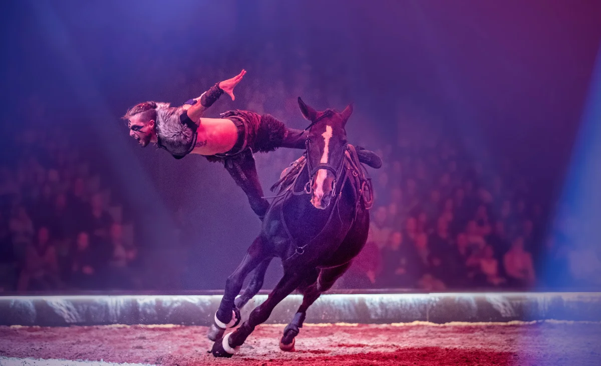 Ein Mann reitet auf einem Pferd in einer Arena während der CAVALLUNA-Show in Berlin, umgeben von bunten Lichtern.