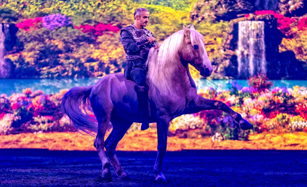 Ein Mann reitet auf einem Pferd durch ein weites Feld, umgeben von grüner Wiese und sanften Hügeln im Hintergrund.