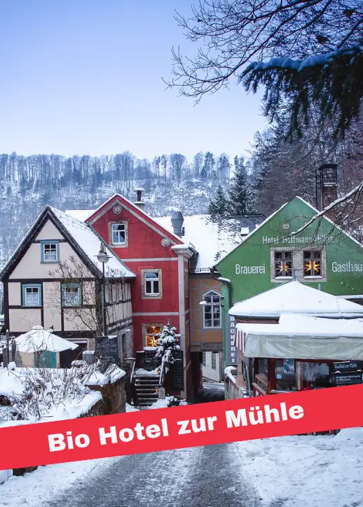 Winterlandschaft in Schmilka: Eine schneebedeckte Straße mit charmanten Häusern und schneebedeckten Bäumen.